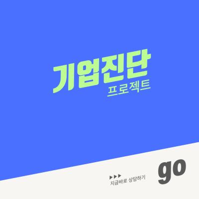 기업진단 프로젝트