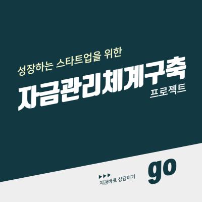 성장하는 스타트업을 위한 자금관리체계 구축 프로젝트